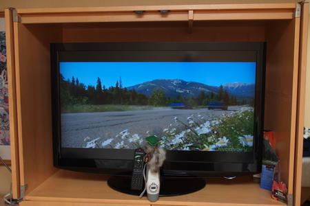 What Nutzo does on the road