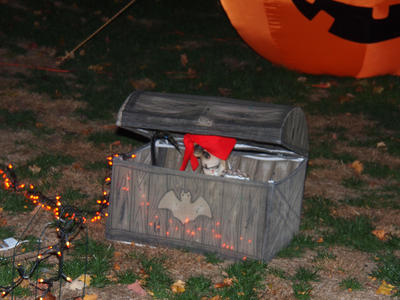 Ayer halloween house #5