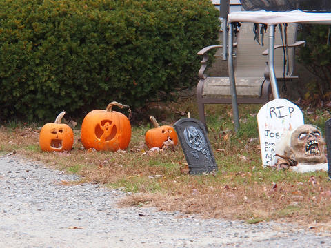 Pumpkins and gravestones