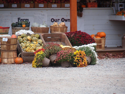 Fall farmstand #2