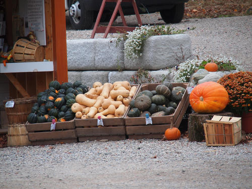 Fall farmstand #3