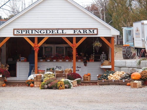 Fall farmstand #4
