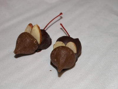 Chocolate mice