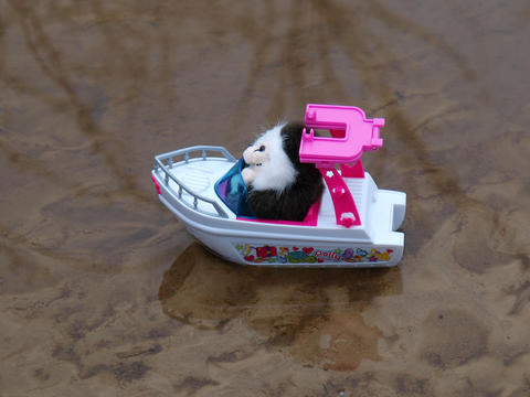 Bunter in his boat
