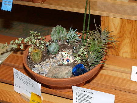 Frog in cactus planter