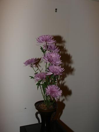 Ikenobo by Theresa Silverman