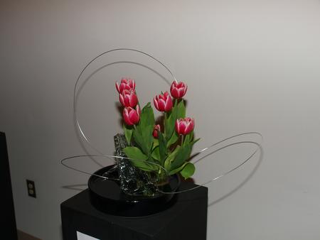 Ikenobo by Jean Mangiafico