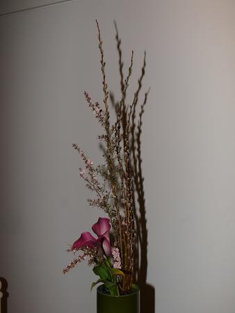 Ikenobo by Linda Clarke