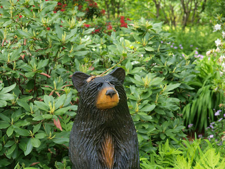 Bear guardian