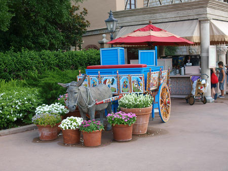 Donkey cart