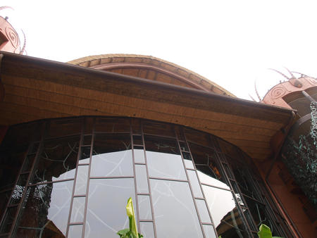 Large window at Animal Kingdom Lodge #2
