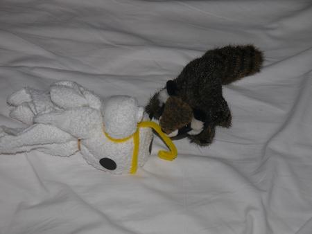 Racky and Disney bird