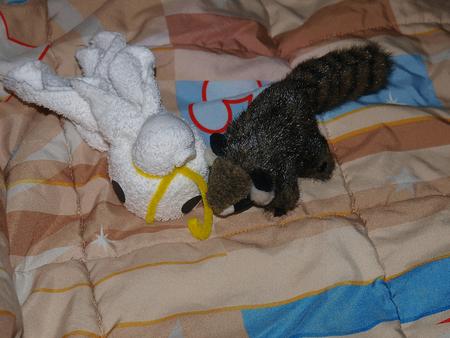 Racky and Disney bird #2