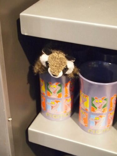 Imagine a cup of Racky