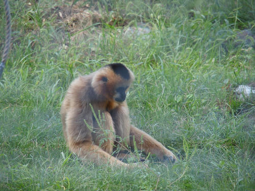 All alone with his thoughts