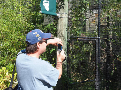 Capturing the animals