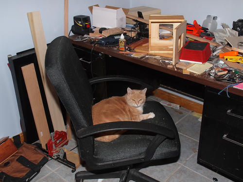 You didn't really want to work on your camera?