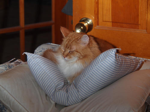 Two pillows are comfy