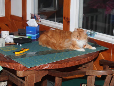 You can sew some other time