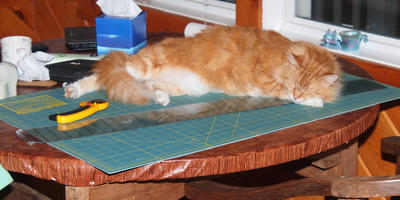 You can sew some other time #2