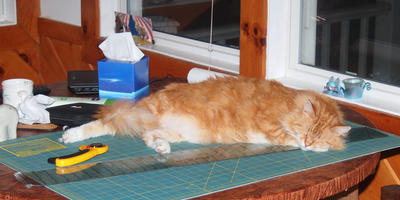 You can sew some other time #3