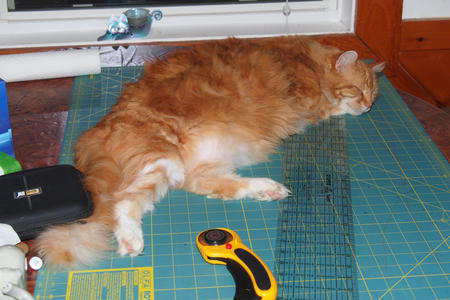 You can sew some other time #4