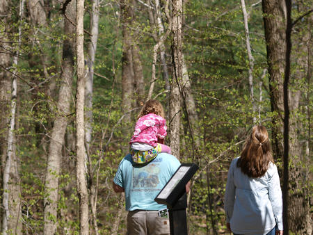 Best seat in the house