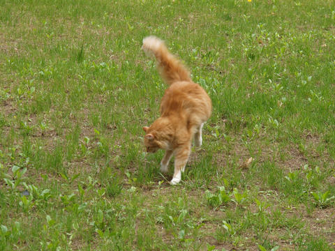 Hmmm, what do we have here?