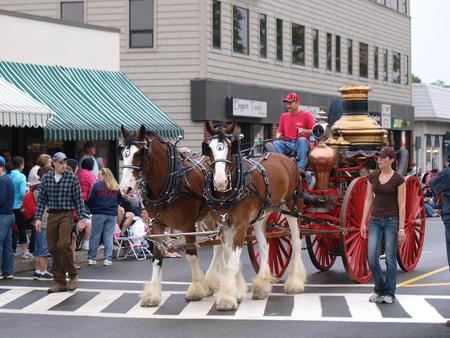 Horse drawn firetruck