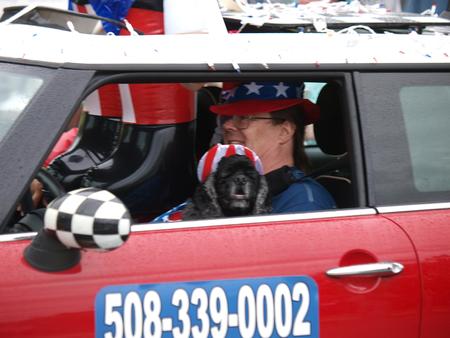 Patriotic dog