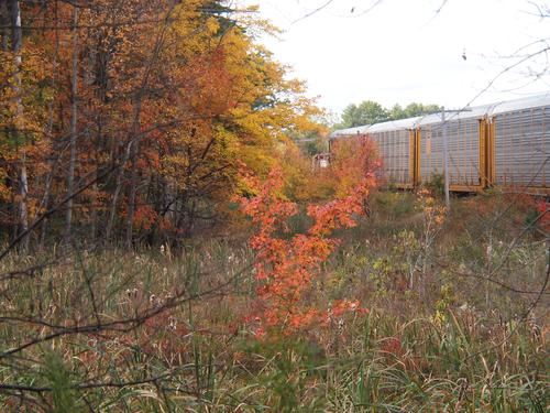Fall at the railroad tracks #2