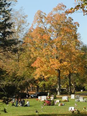 Andover cemetary #9