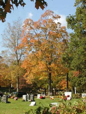 Andover cemetary #10