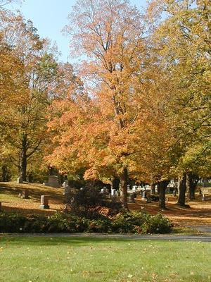 Andover cemetary #11
