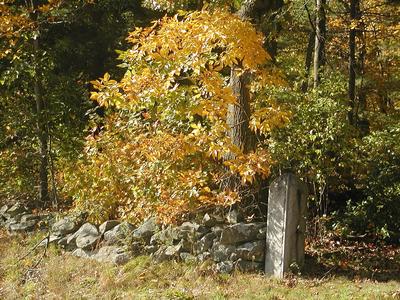 Fall by the roadside