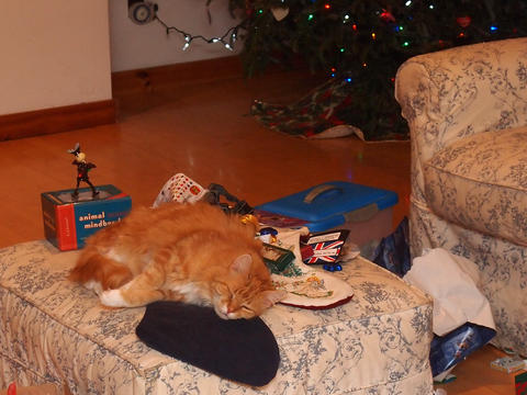 Lord of the clutter #3