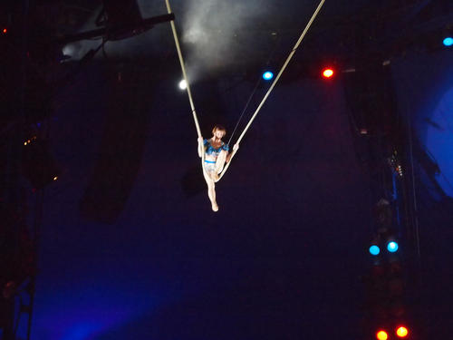 Aerialist