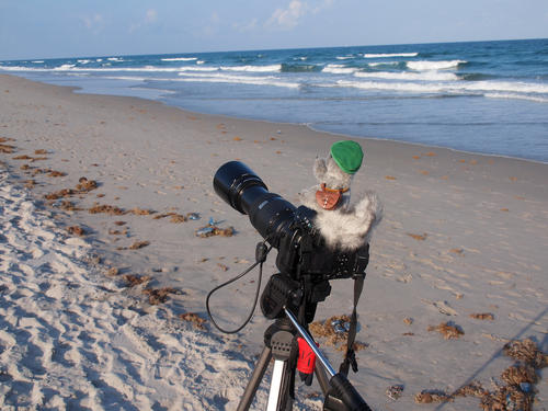 Bring on the Space Shuttle