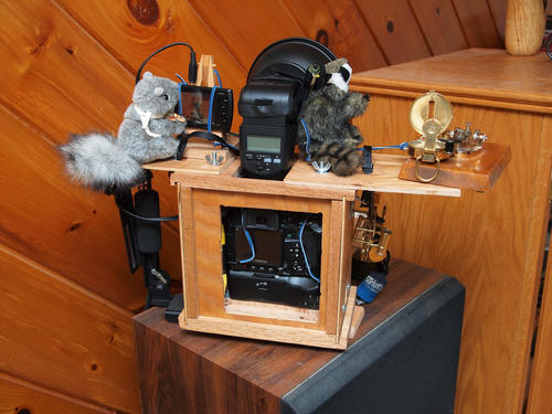 Back of the camera as used at The Great New England Steampunk Exhibition
