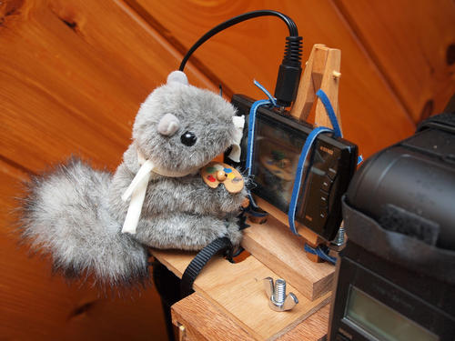 Livinia paitng the live view