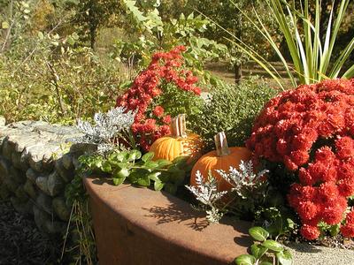 Fall by the roadside