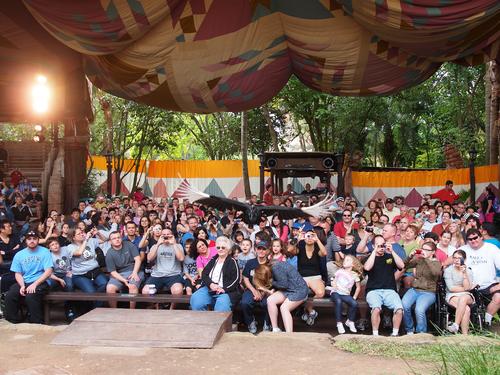 Turkey Vulture Buzzard flyover