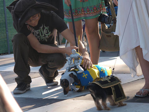 Knight and his faithful steed