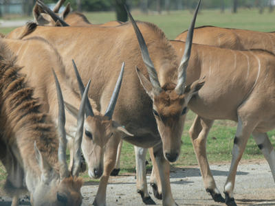 Are you taking my picture?