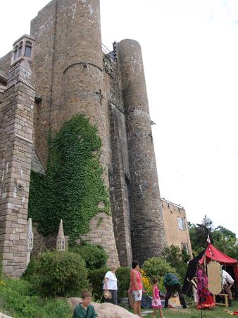 Hammond castle wall with ivy #2