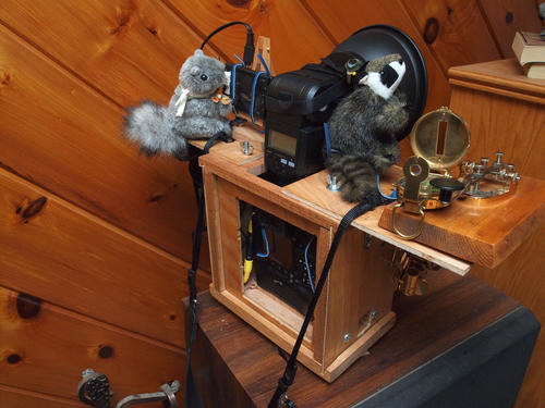 Back of the camera as used at The Great New England Steampunk Exhibition #2