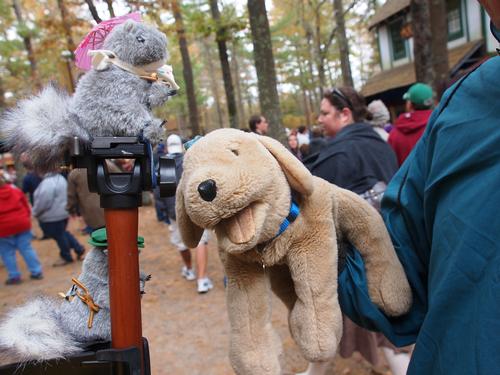 Nutzo and Livinia discover a friend