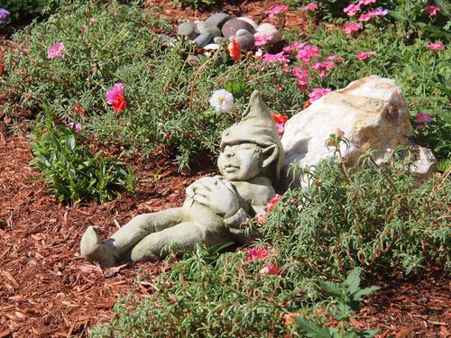 Asleep amongst the flowers