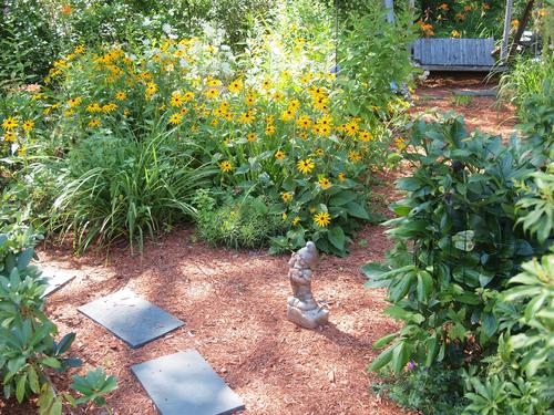 Black-eyed susans #4