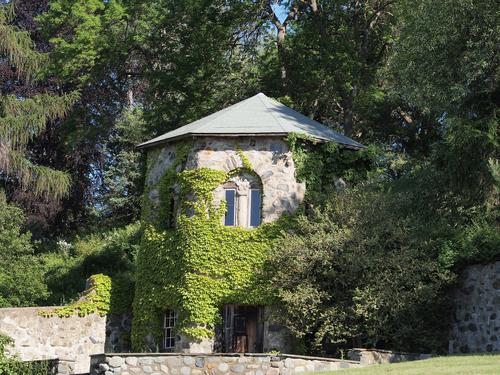 Ivy covered building #2